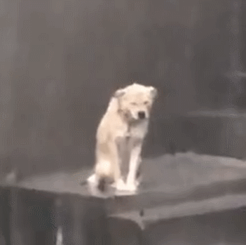 梅西首秀遇冷 日本逆转德国 亚洲球队力挽狂澜